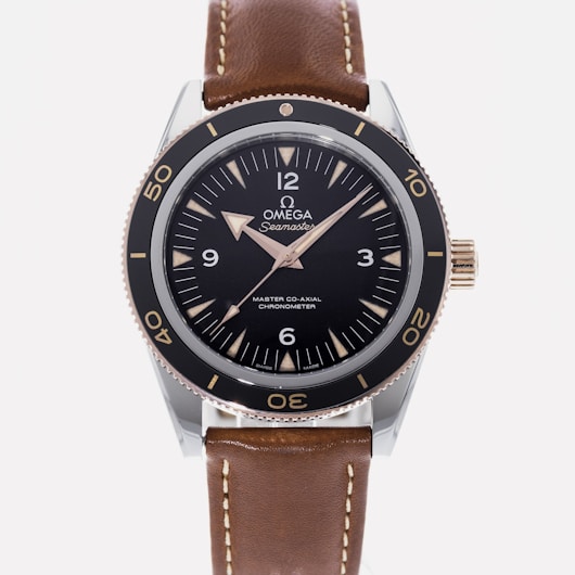 Seamaster 300 233.22.41.21.01.002