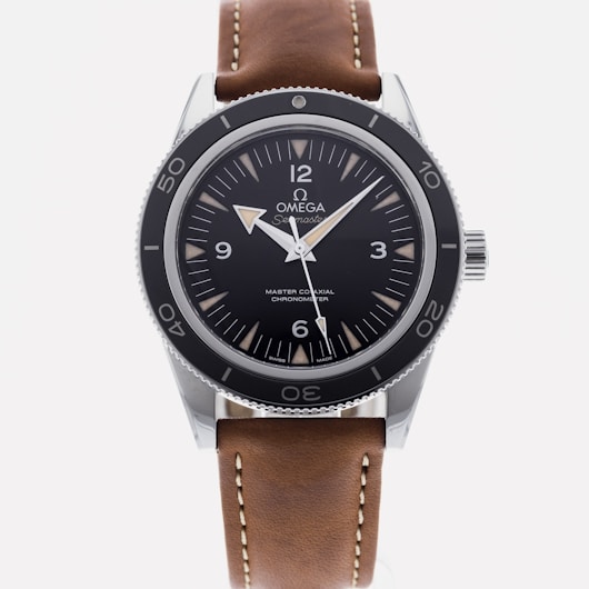 Seamaster 300 Master Co-Axial 233.32.41.21.01.002