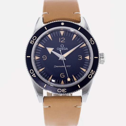 Seamaster 300 Co-Axial Master Chronometer 234.32.41.21.03.001