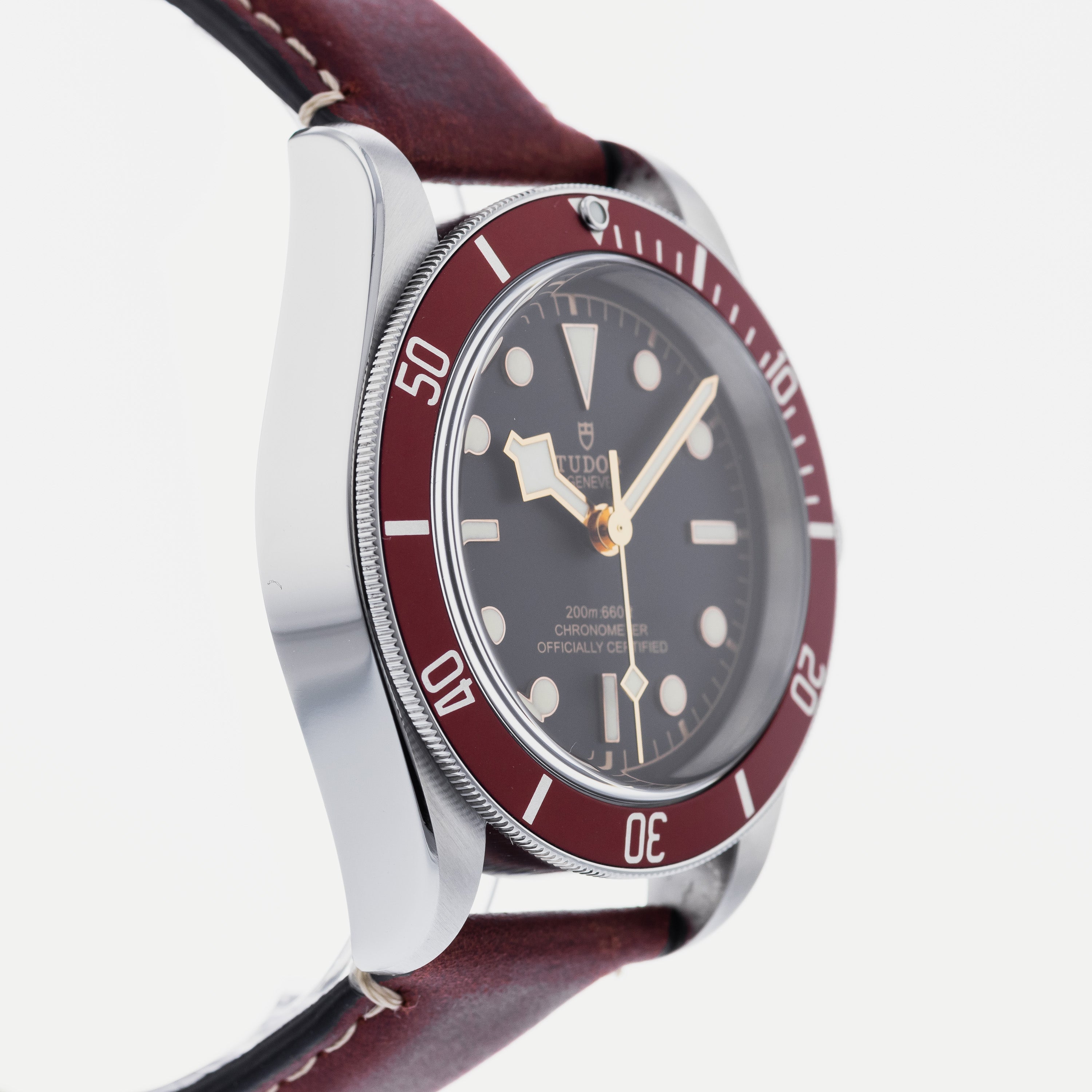 Tudor Heritage Black Bay Red 79230 HODINKEE Shop