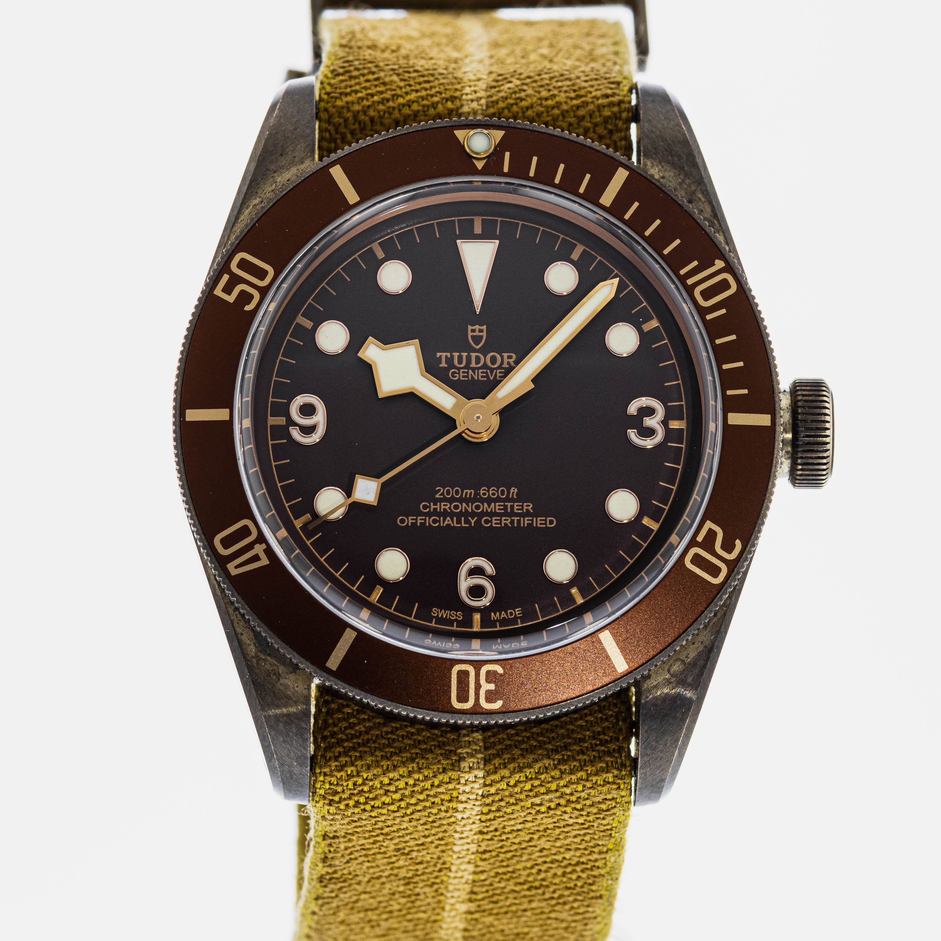 79250 tudor 2025
